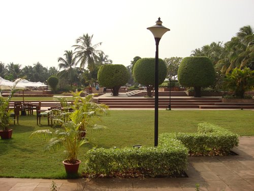 Public park with greenery and outdoor seating.